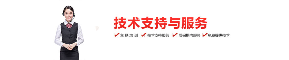 電動(dòng)叉車定制 電動(dòng)叉車定制